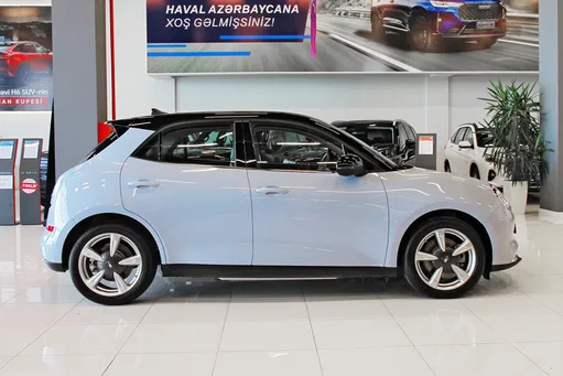 GWM ORA, 0.0 L, 2023 year, 0 km, Baku - Price: 28 500 ₼ - Tunel.az