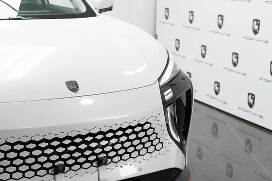 Forthing Friday EV, 0.0 L, 2024 год, 0 km, Баку - Цена: 47 499 ₼ - Tunel.az