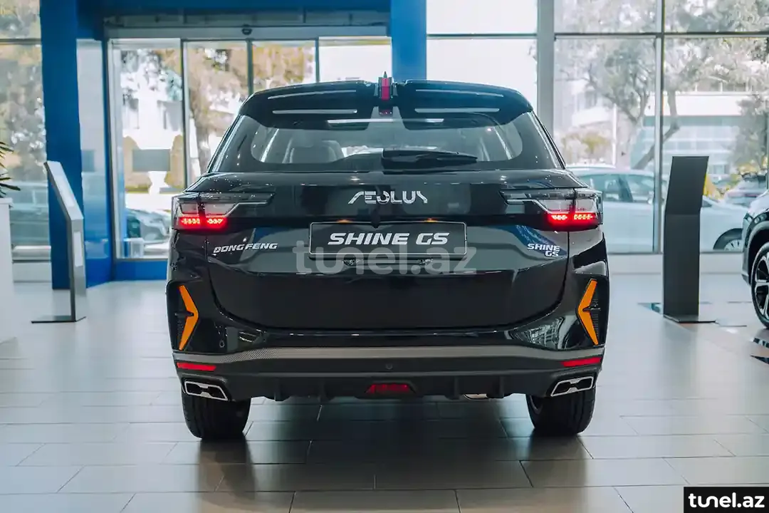 DongFeng Aeolus Shine GS 2024
