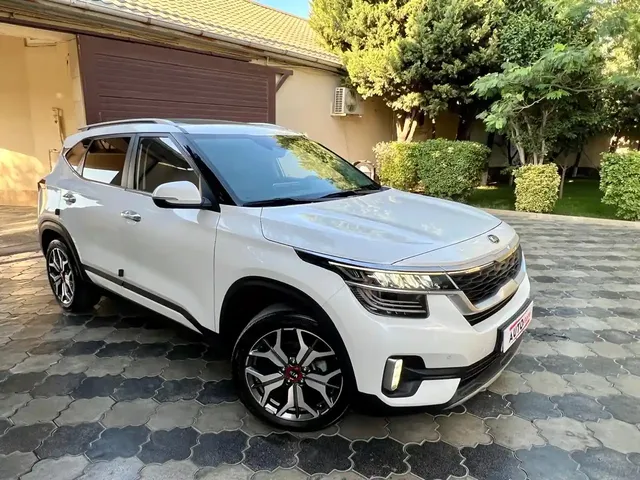Kia Seltos, 1.6 L, 2019 year, 114 000 km, Baku - Price: 38 900 ₼ - Tunel.az