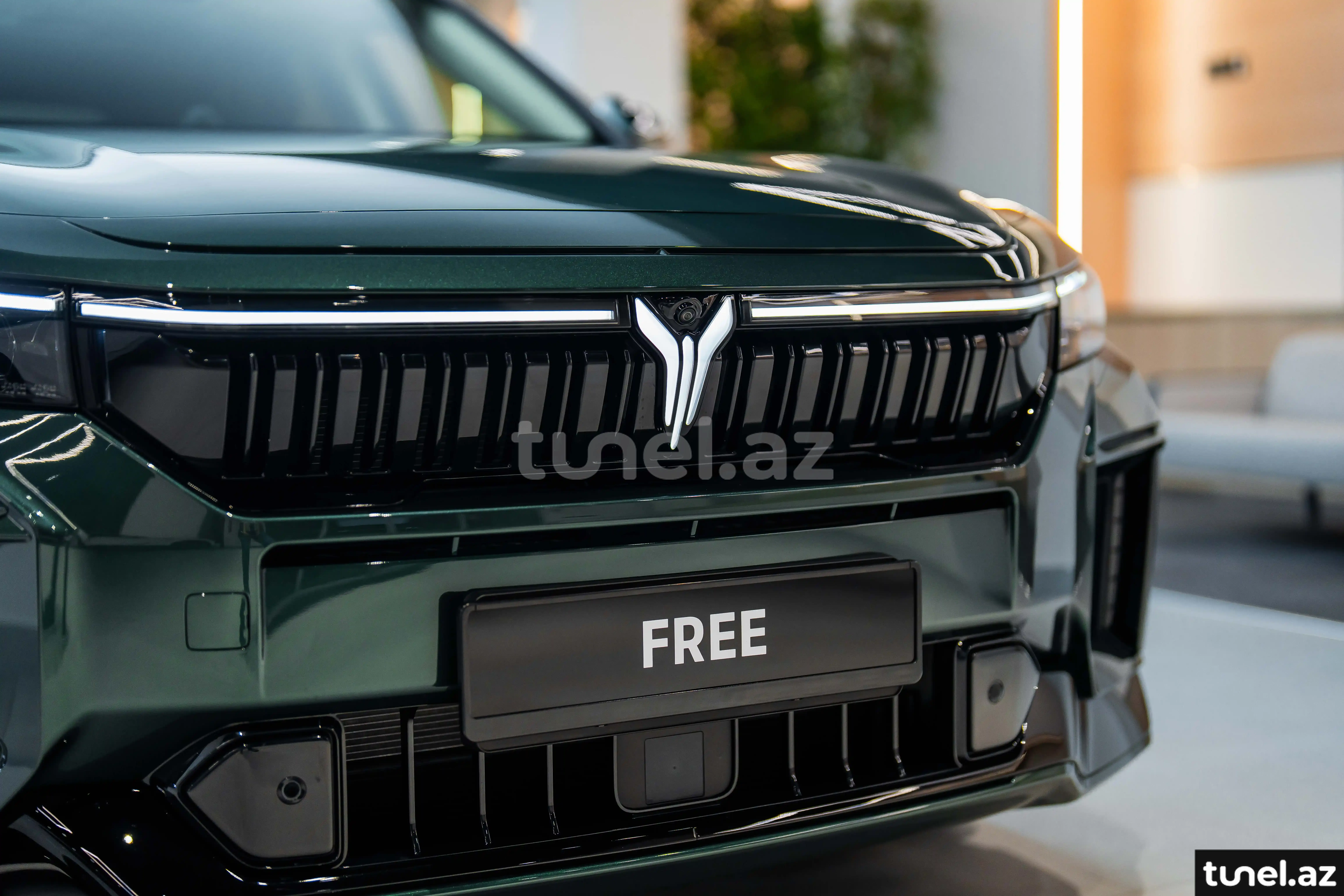 Voyah Free 2024