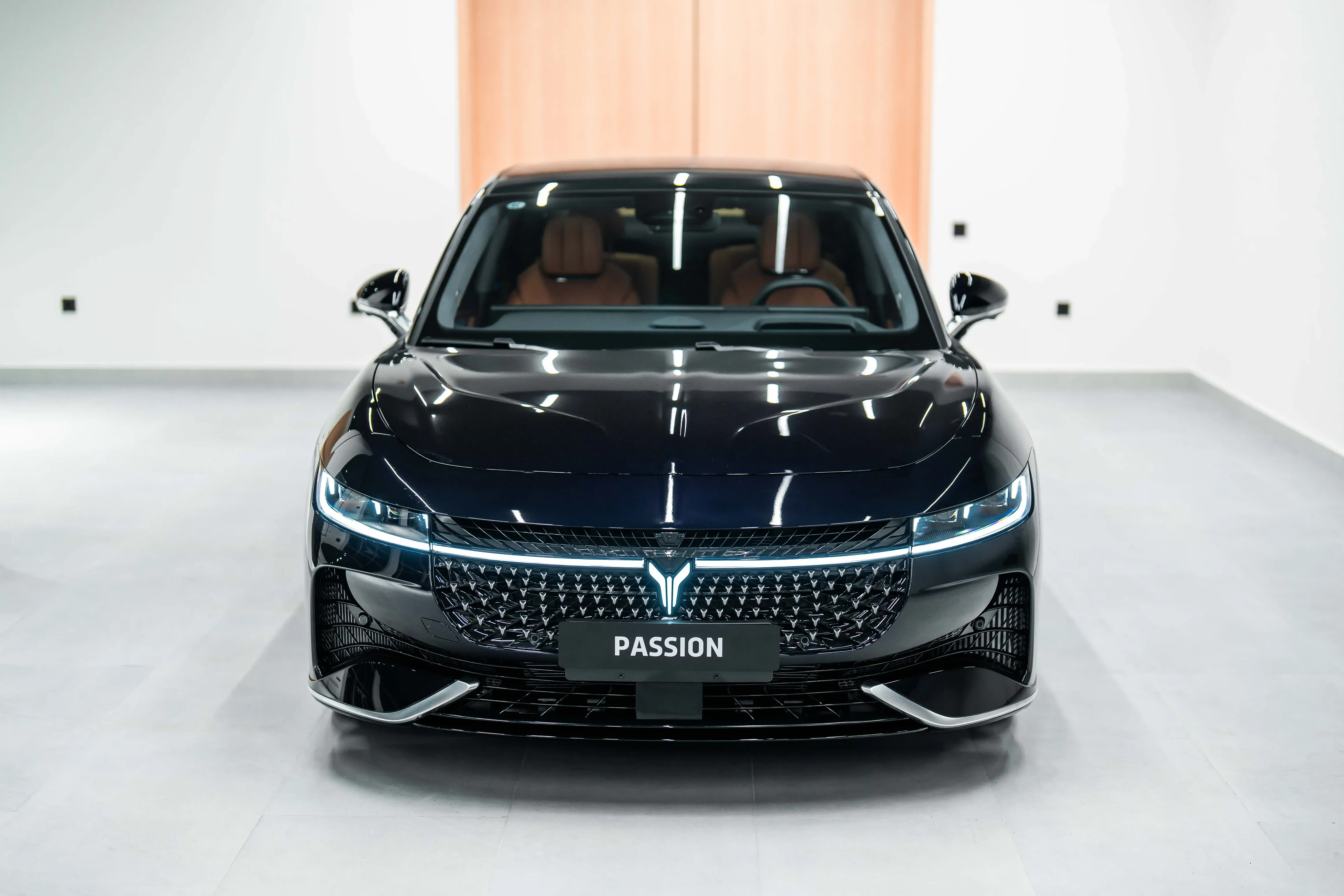 Voyah Passion, 1.5 L, 2024 год, 0 km, Баку - Цена: 43 900 $ - Tunel.az