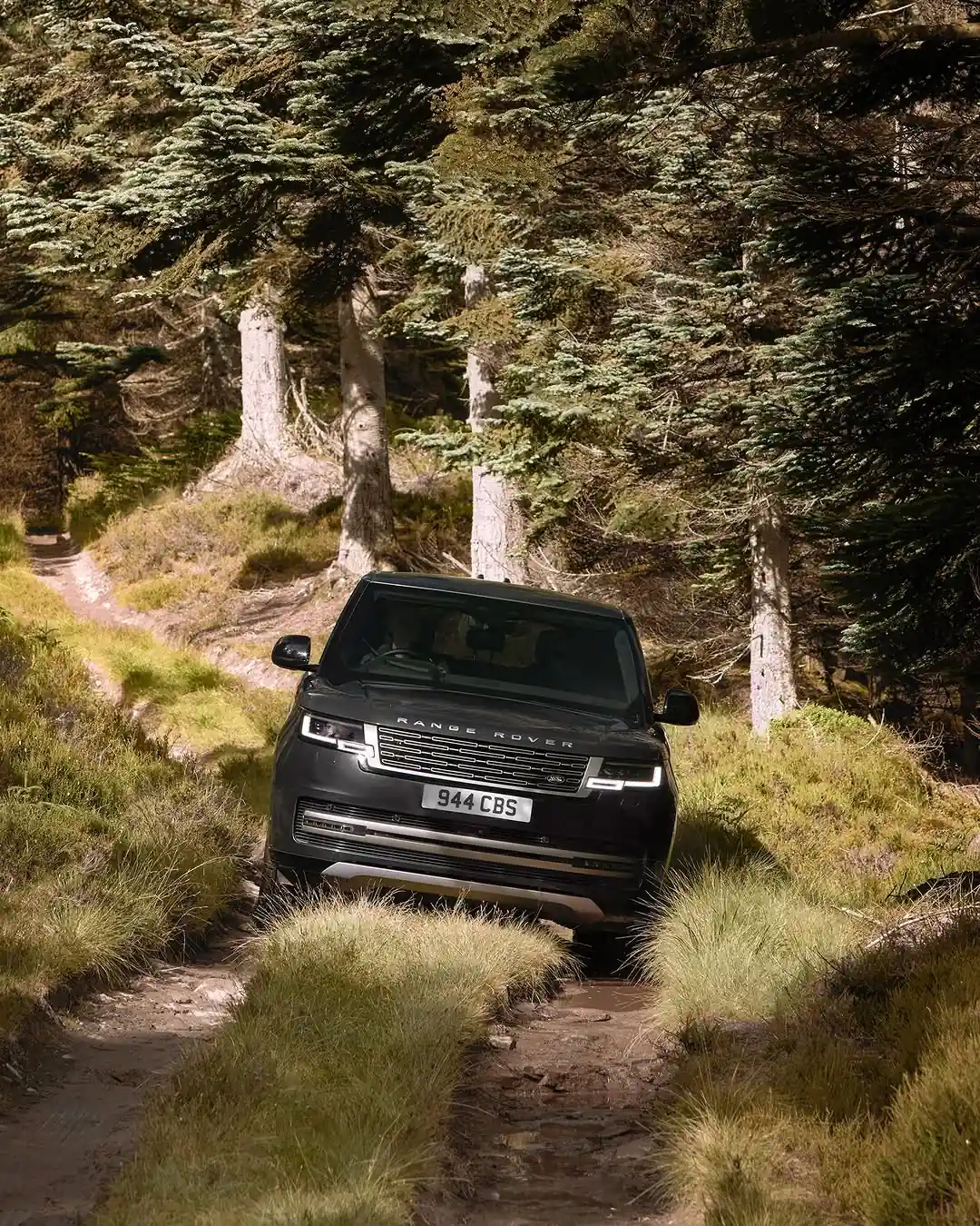 Range Rover
Hər yolun lideri, hər anın təcrübəsi!
Fiziki və hüquqi şəxslər üçün 20% ilkin ödəniş, 10%-dən başlayan illik bank faizi və 5-ilə qədər kredit şərti ilə.
Rəsmi nümayəndə “Avtolüks Azərbaycan” şirkəti.
🌐 Ətraflı məlumat: BİODA
📞 Çağrı mərkəzi: (012) 983
☎ Satış şöbəsi: (012) 404 84 11
📱 Satış şöbəsi: (055) 983 0 983
📱 Servis şöbəsi: (055) 212 98 22
📍 Nərimanov r-nu, Zaur Nudirəliyev 8
#RangeRover #newRangeRover #LandRoverAzerbaijan #RangeRoverBaku #LuxuryCar #LuxuryCars #offroad #4x4 #AutoLux