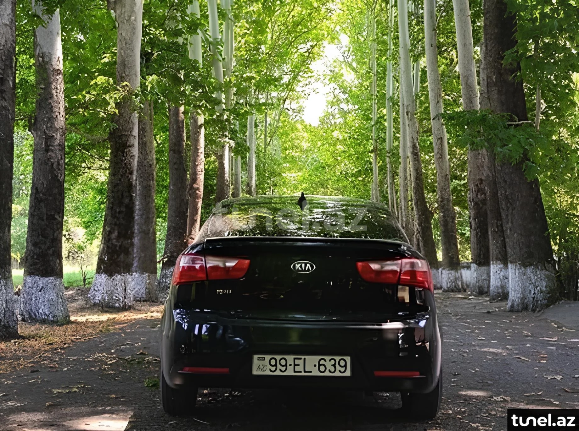 Kia Rio 2012