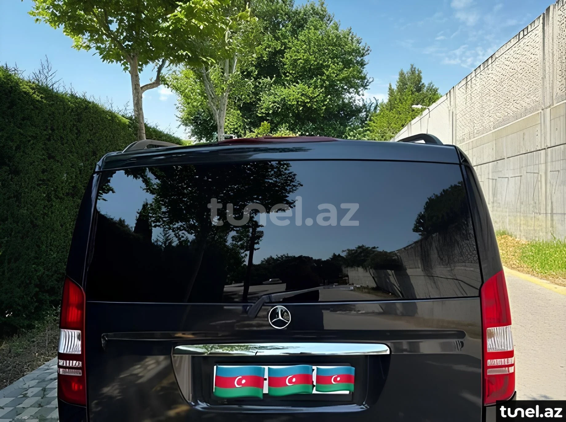 Mercedes Viano 2014
