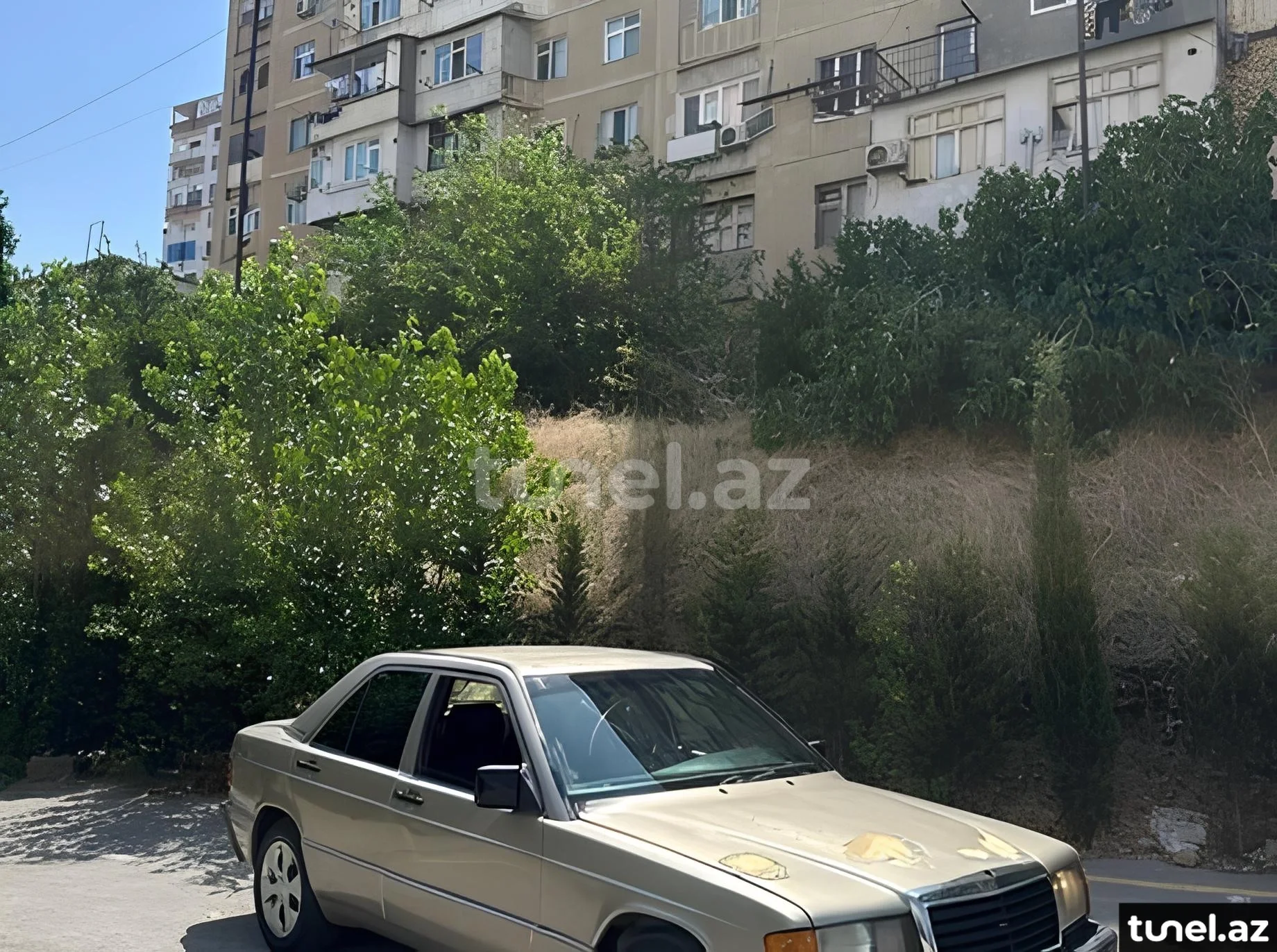 Mercedes 190 1991