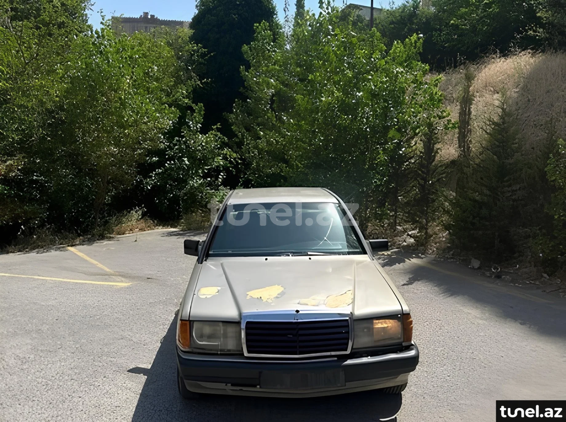 Mercedes 190 1991