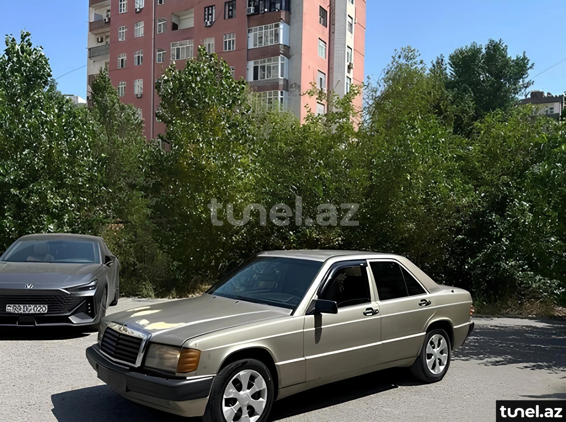 Mercedes 190 1991