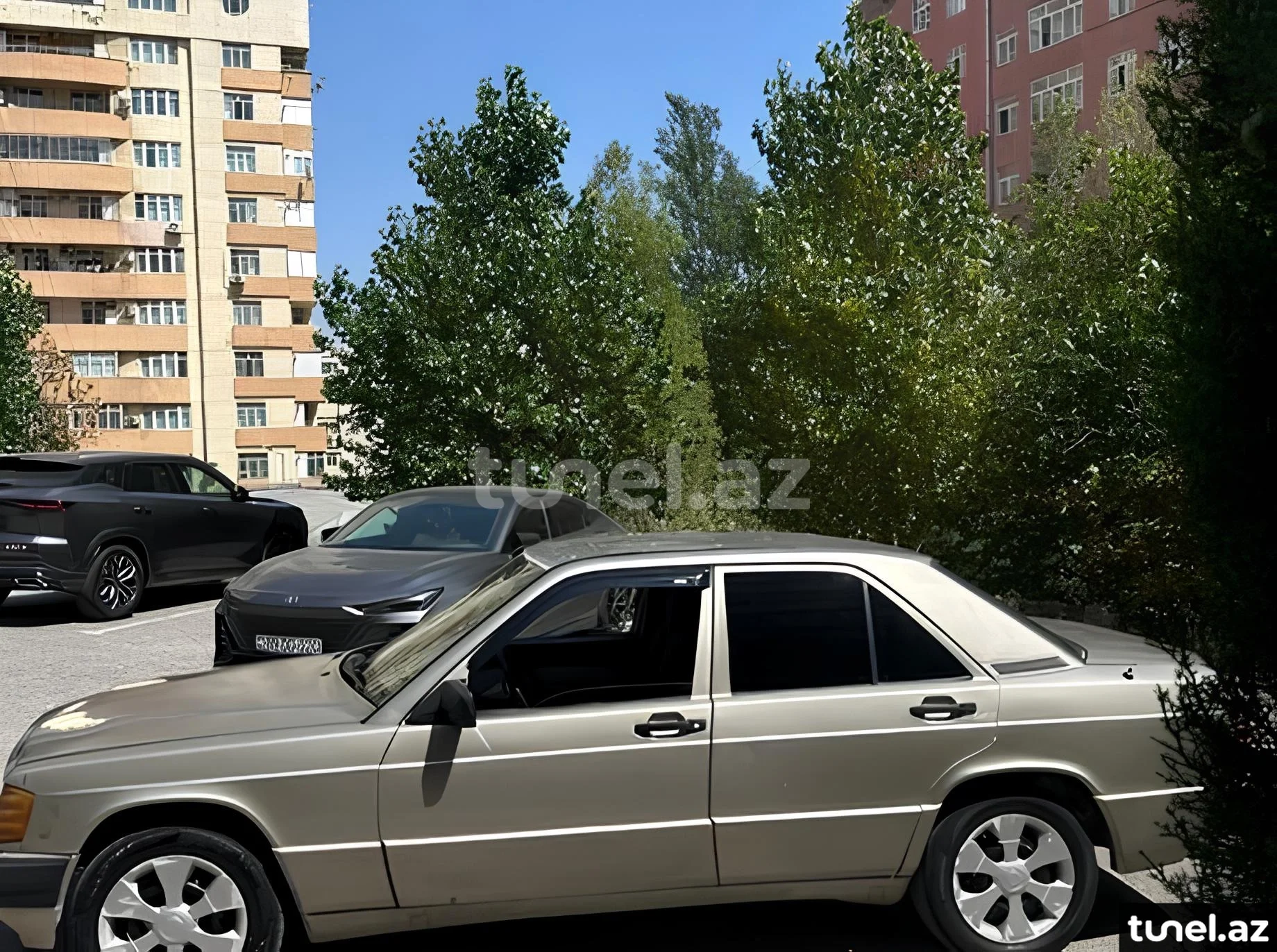 Mercedes 190 1991
