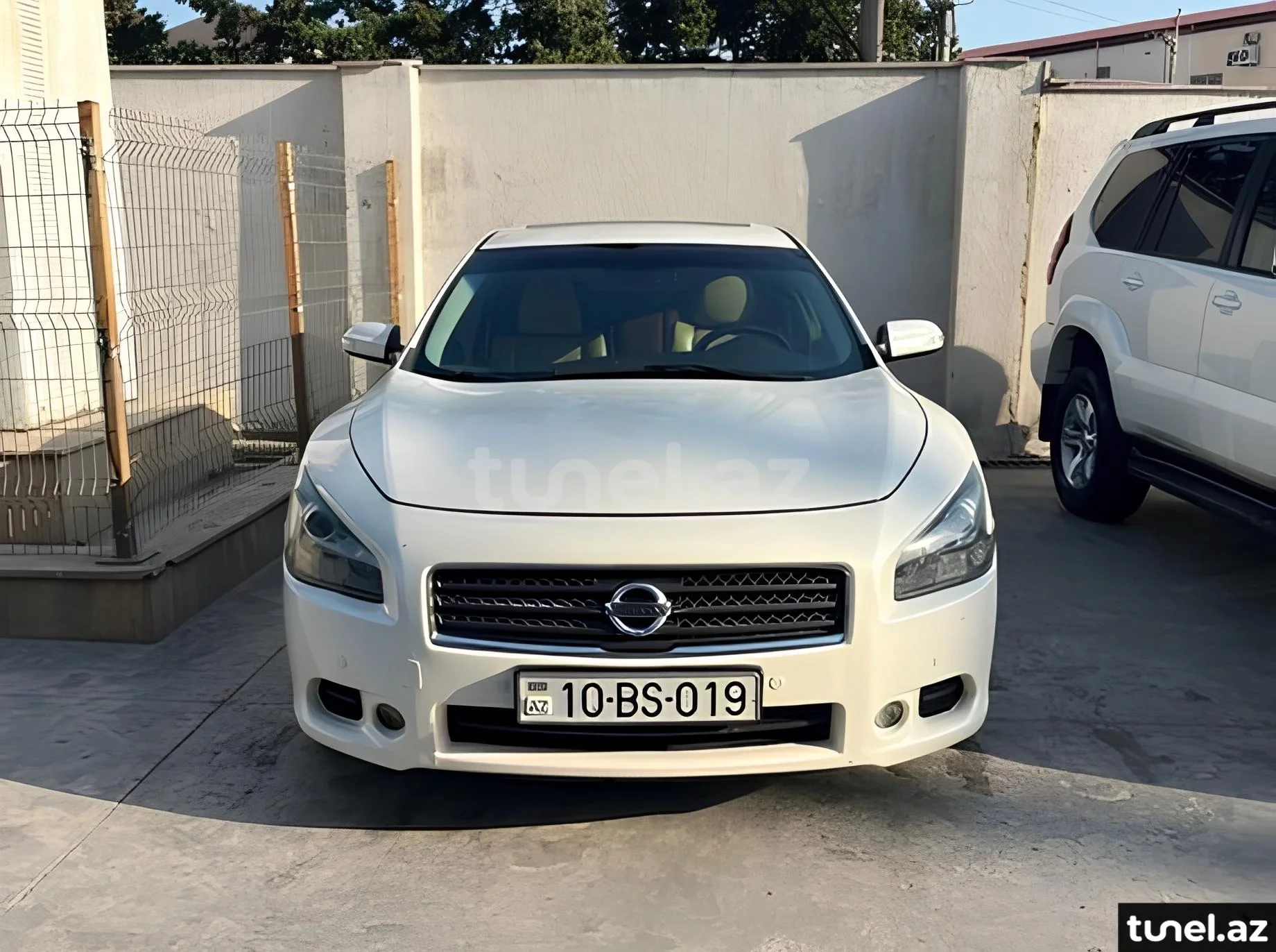 Nissan Maxima 2011