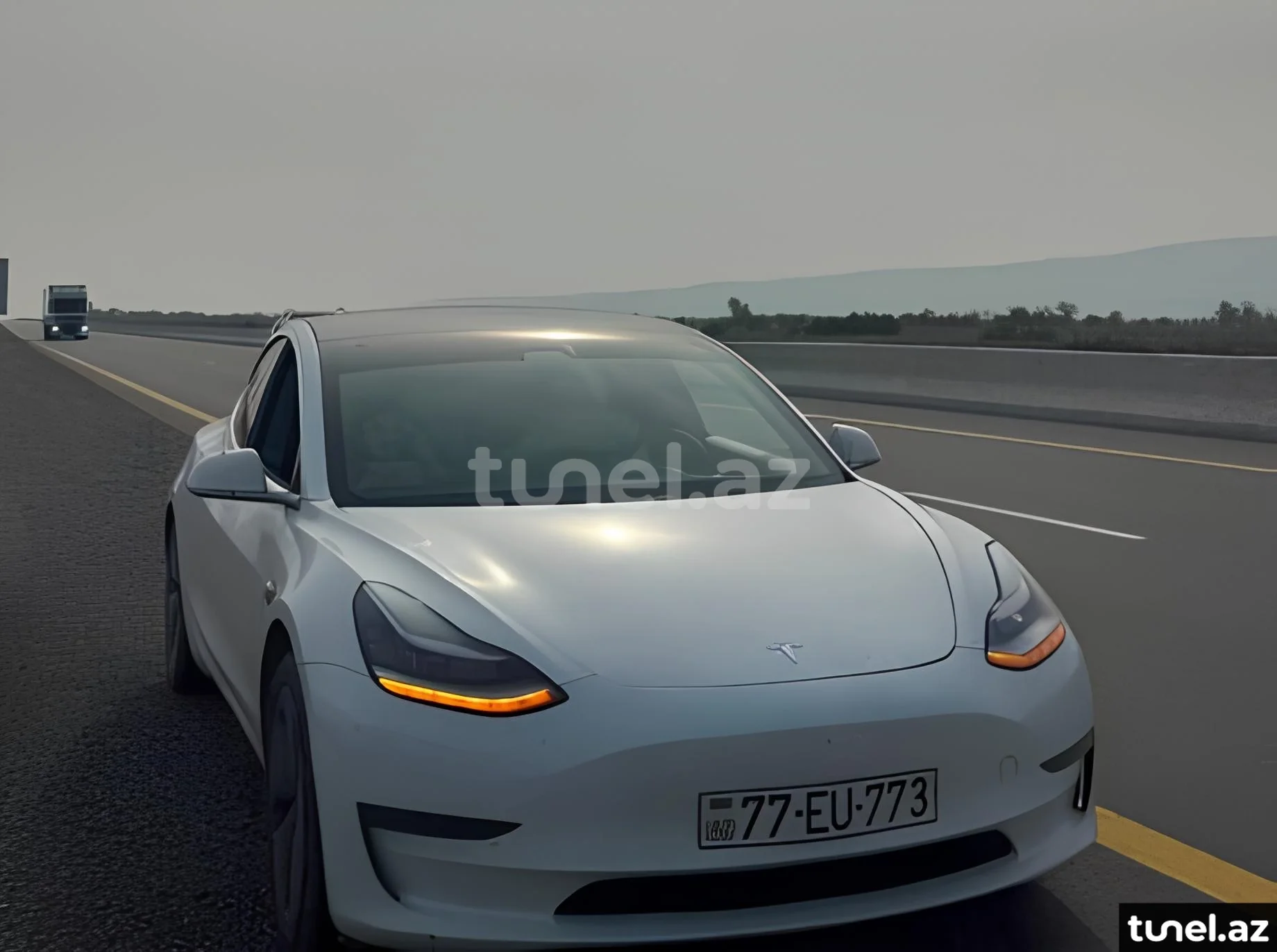Tesla Model 3 2020