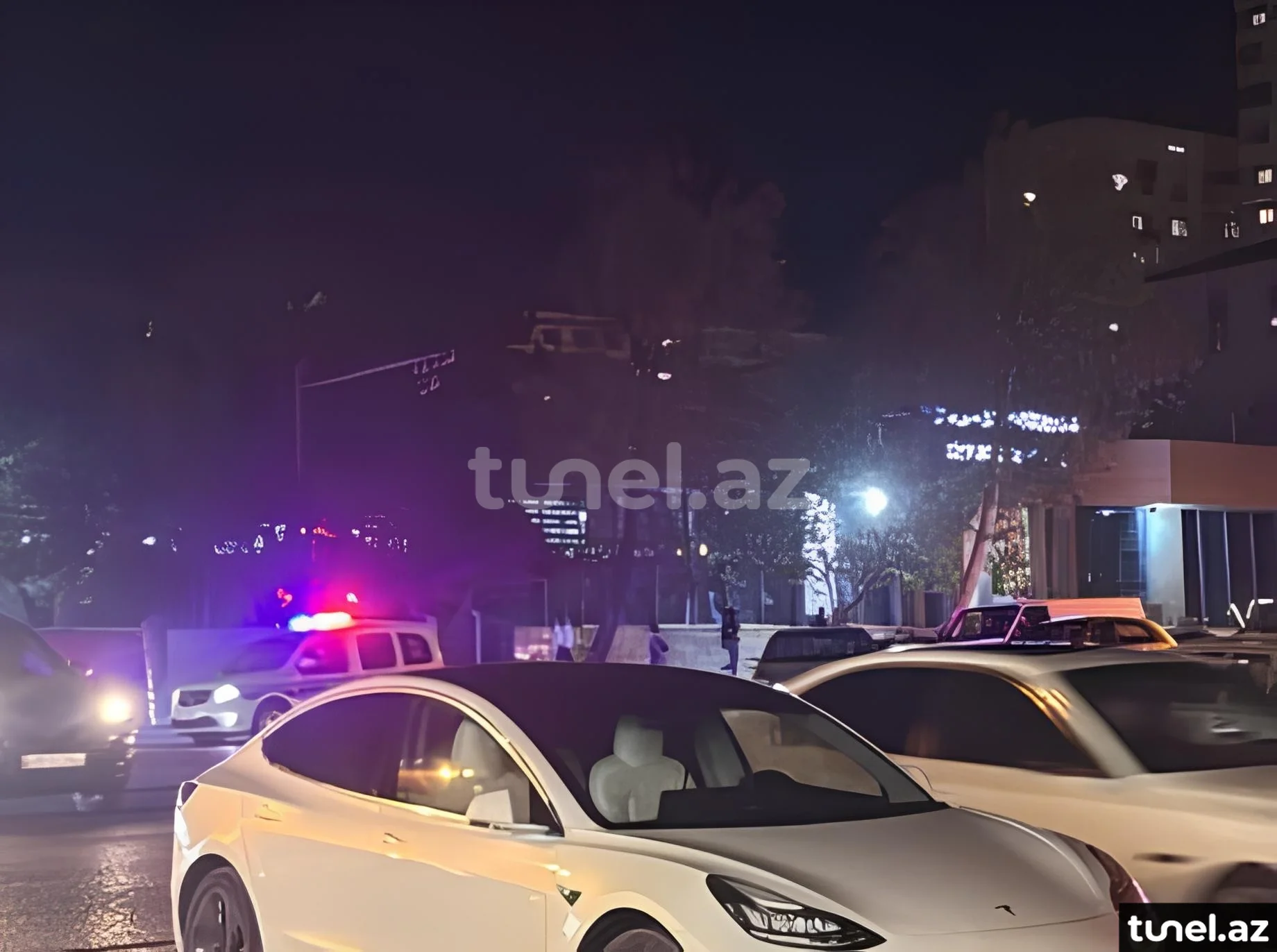 Tesla Model 3 2020