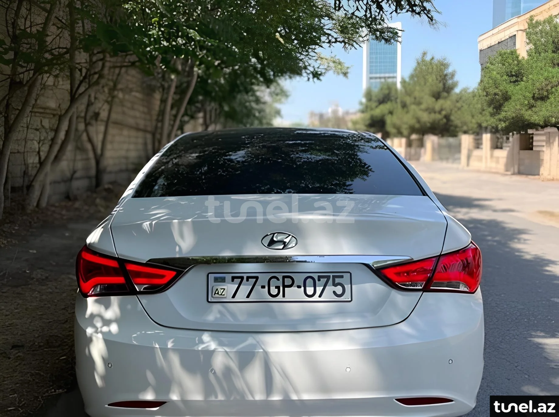 Hyundai Sonata 2010
