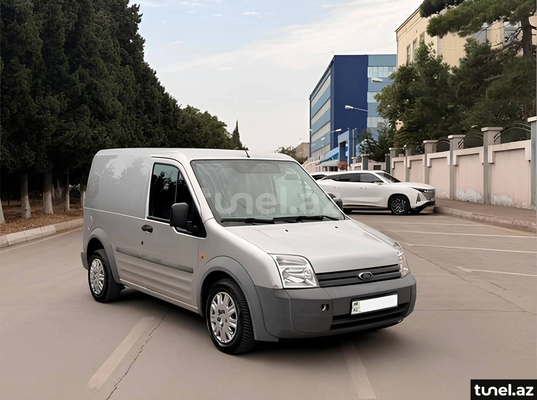 Ford Transit Connect 2008