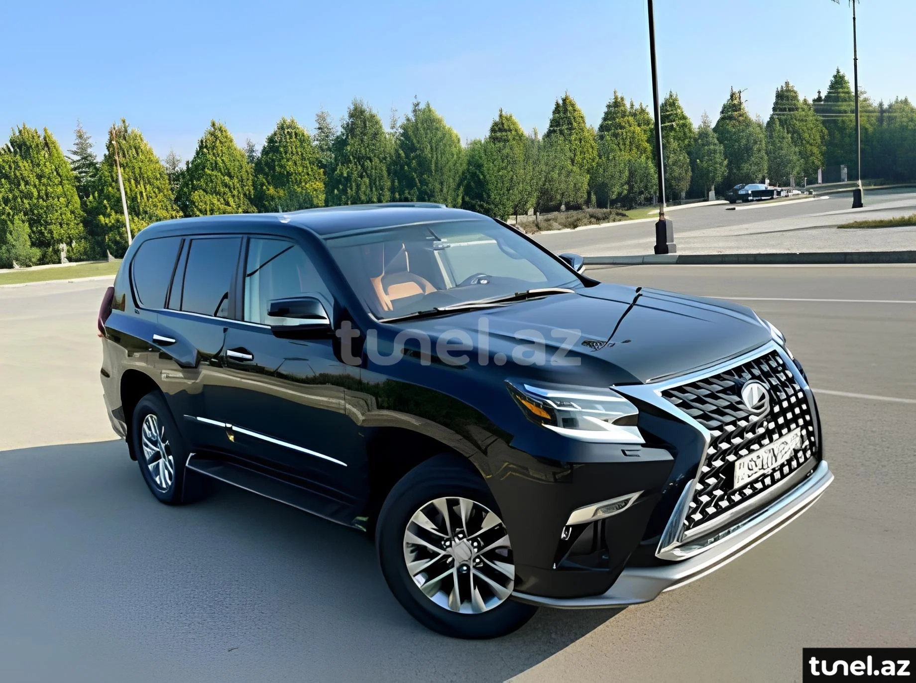 Lexus GX 460 2013
