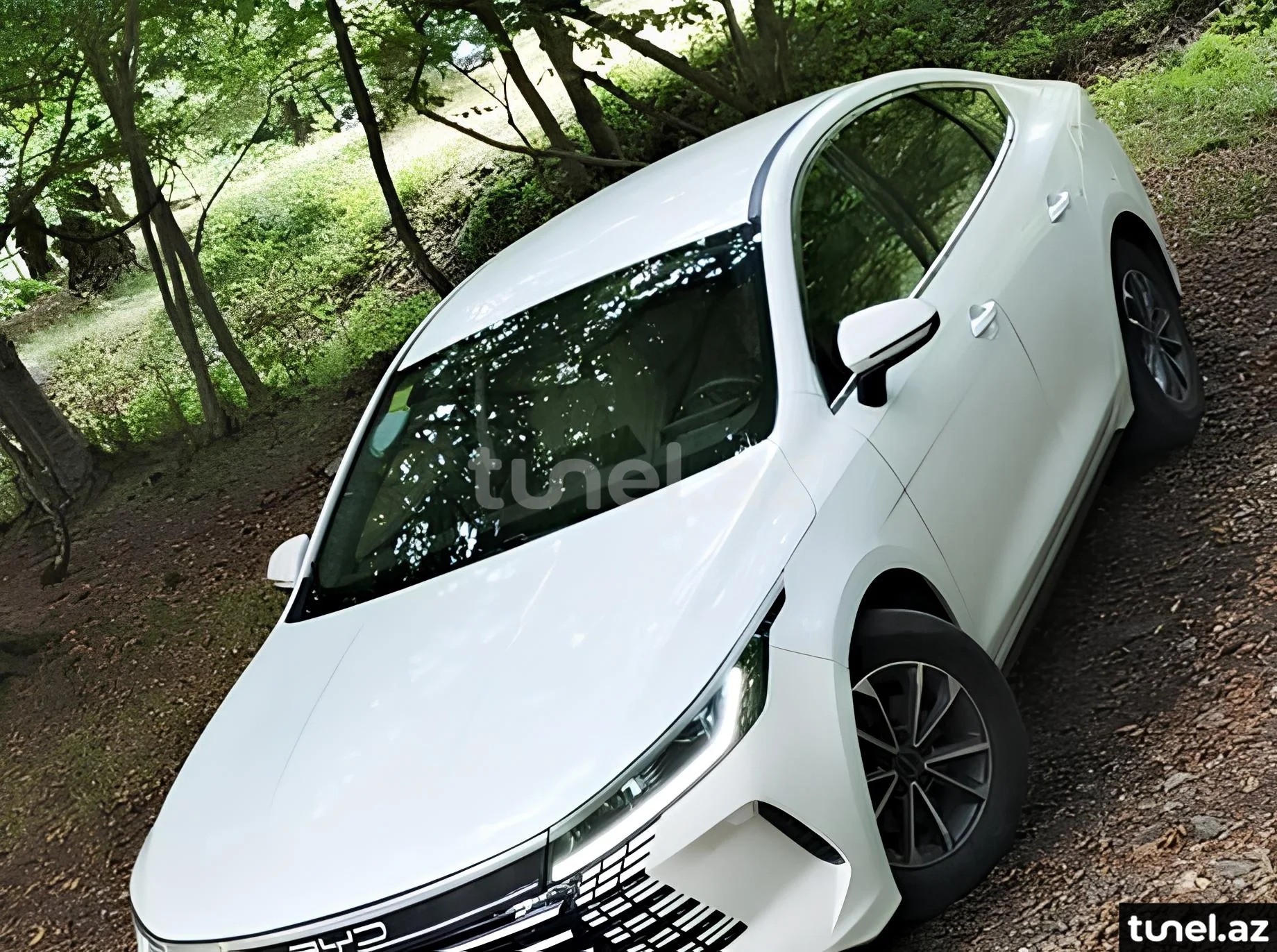 BYD Destroyer 05 2024