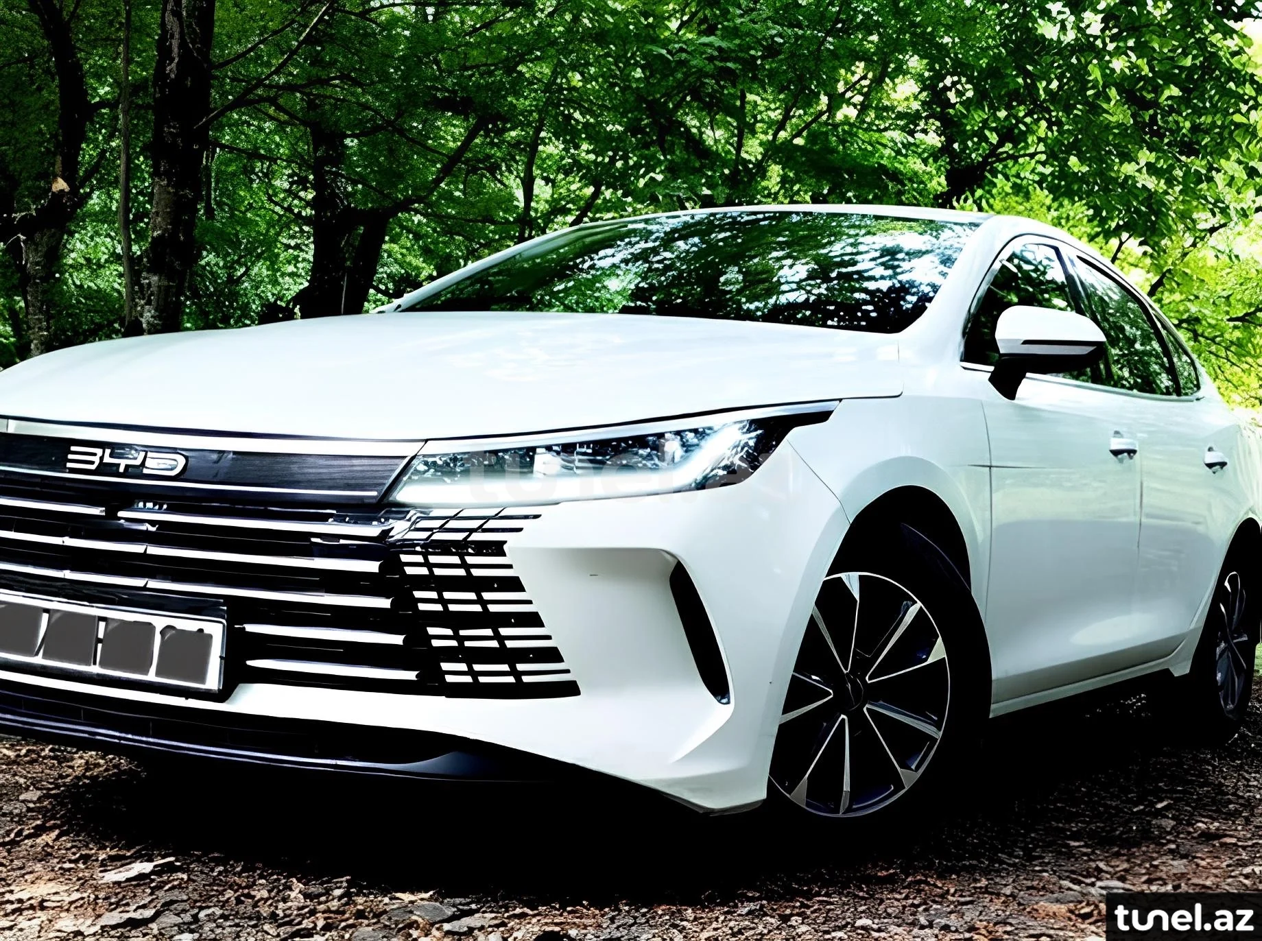 BYD Destroyer 05 2024