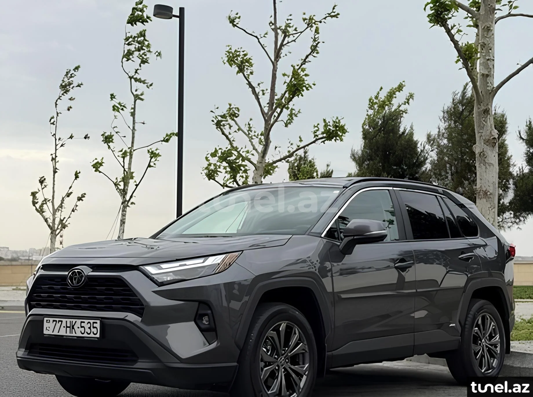 Toyota RAV4 2024