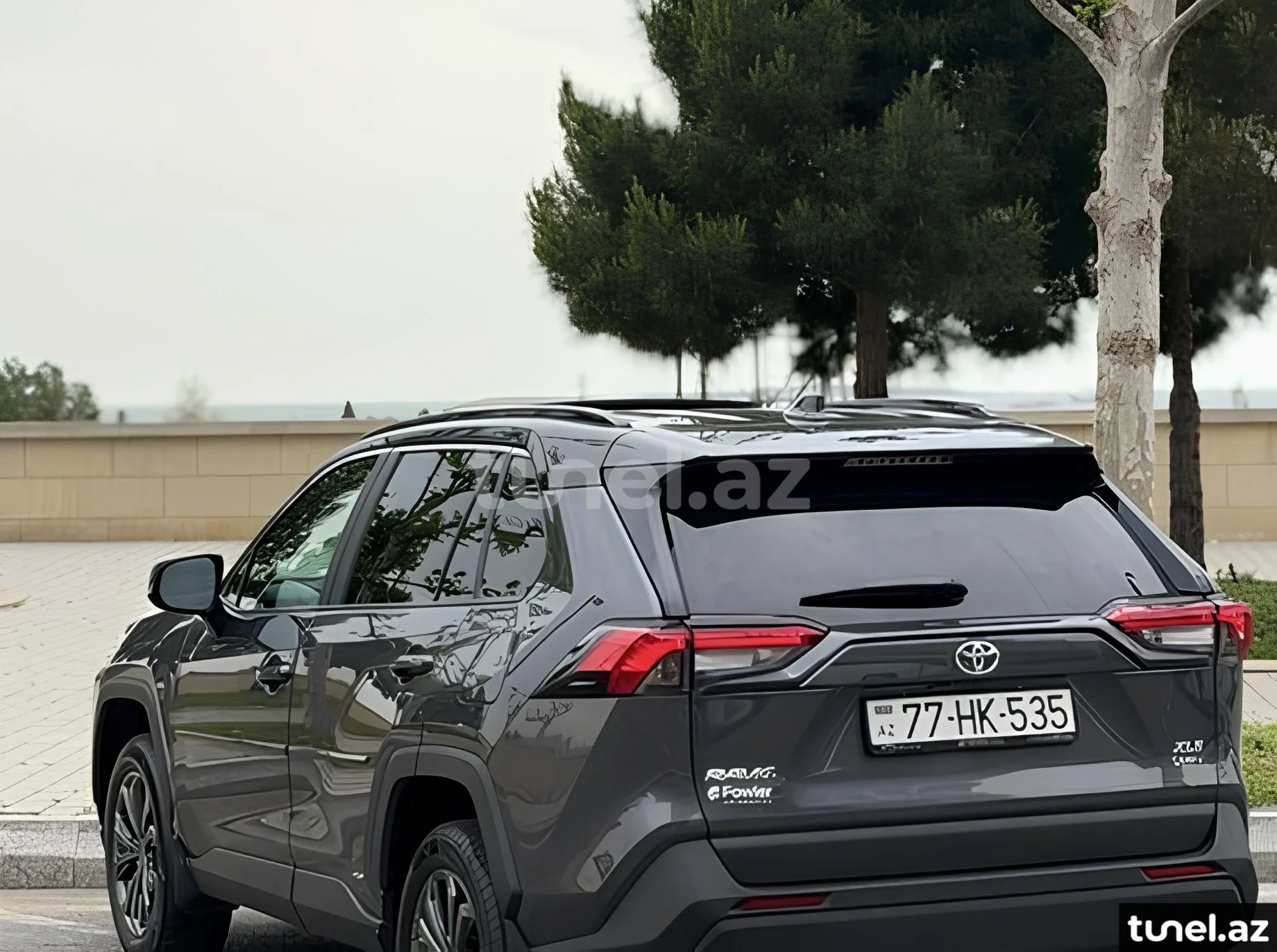 Toyota RAV4 2024