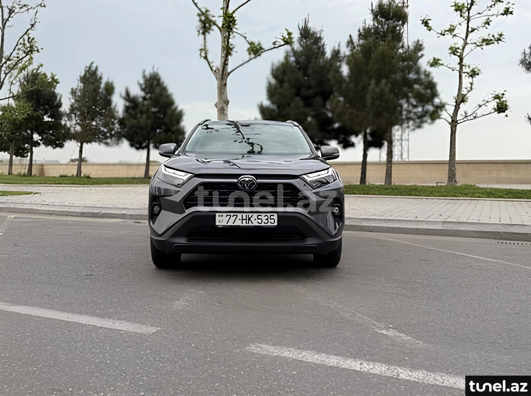 Toyota RAV4 2024