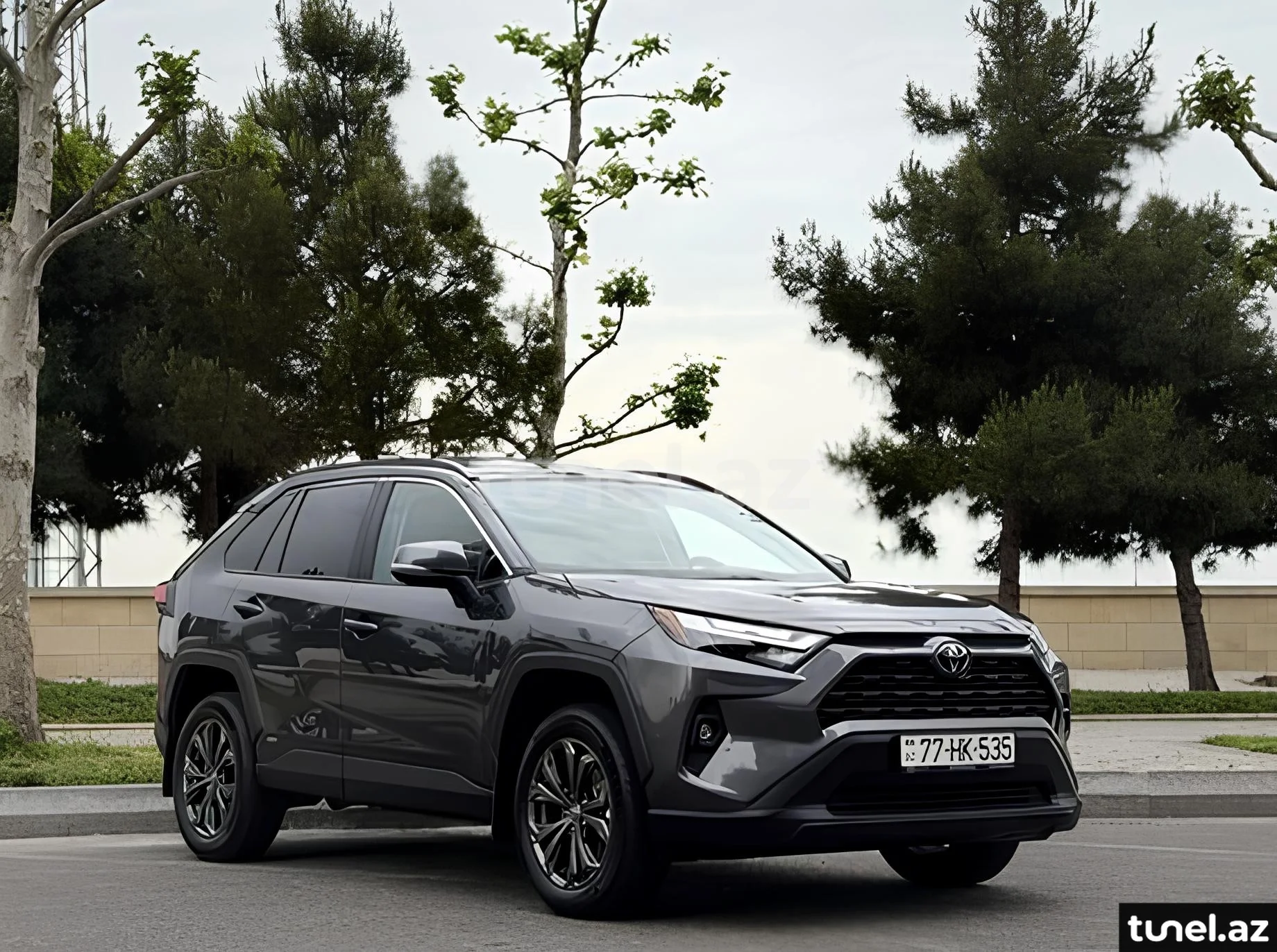Toyota RAV4 2024