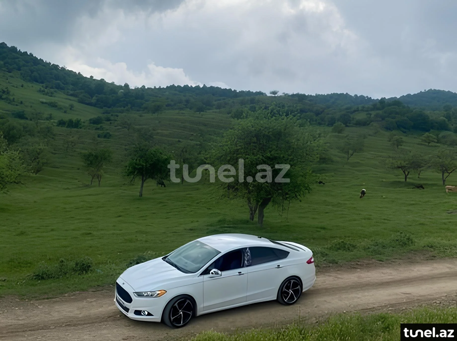 Ford Fusion (North America) 2014