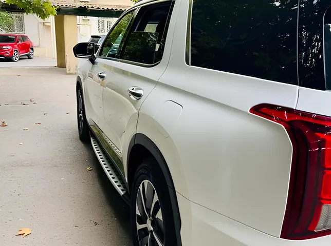 Hyundai Palisade, 2.2 L, 2019 i̇l, 158 320 km, Bakı - Qiymət: 51 800 ₼ - Tunel.az