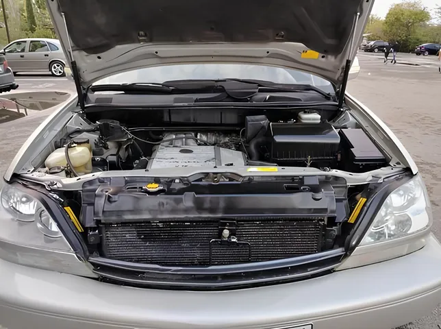 Lexus RX 300, 3.0 L, 2001 жыл, 315 379 km, Sumgayit - Баасы: 9 500 ₼ - Tunel.az
