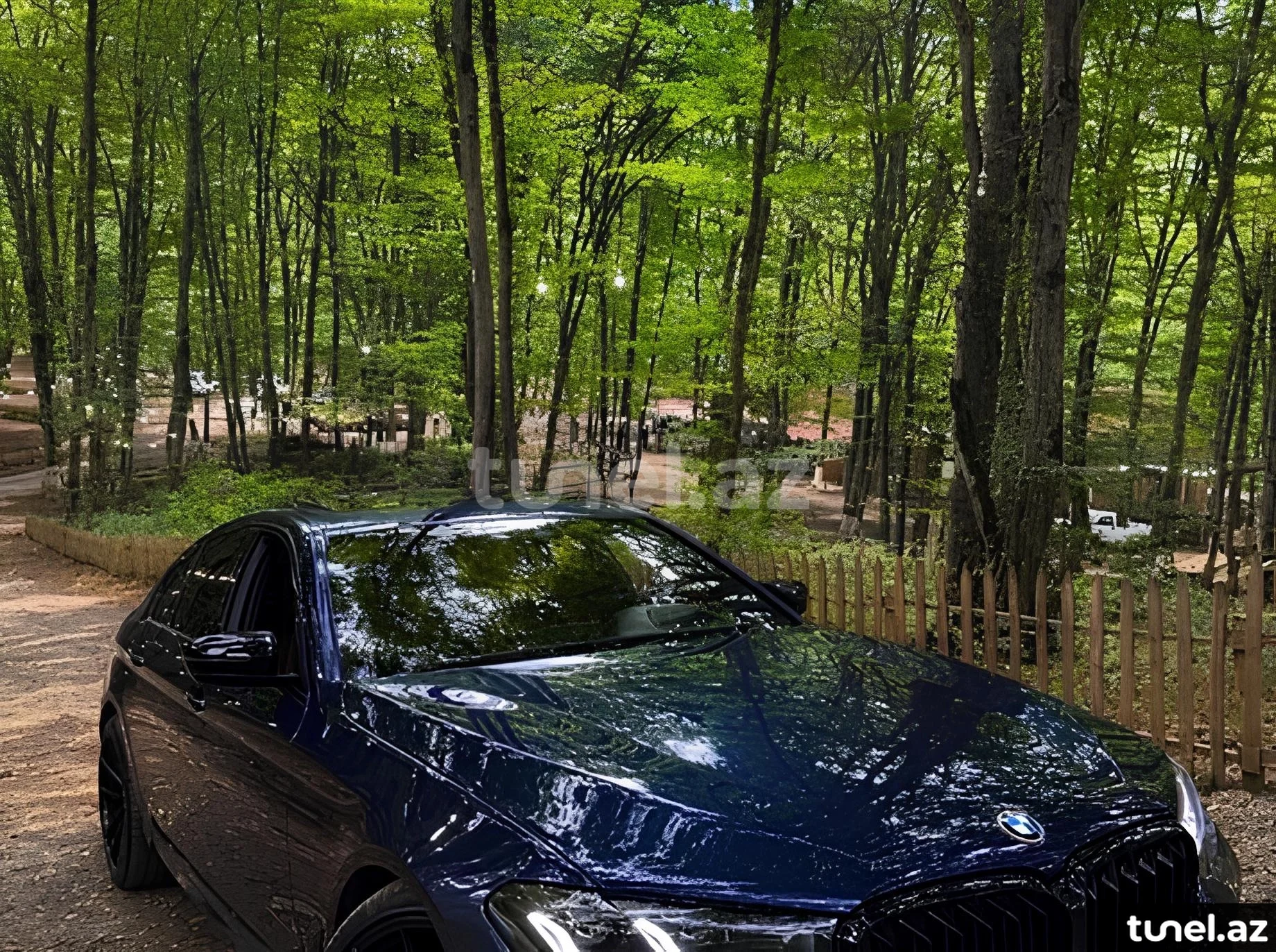 BMW 530 2019