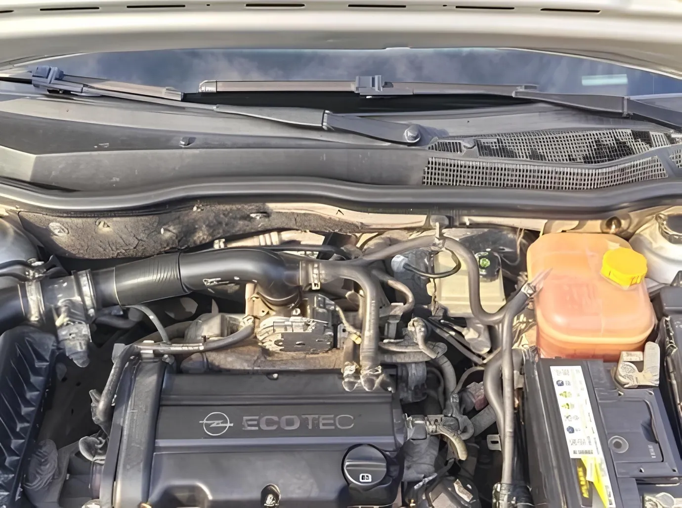Opel Astra, 1.4 L, 2006 i̇l, 305 221 km, Ağstafa - Qiymət: 10 800 ₼ - Tunel.az