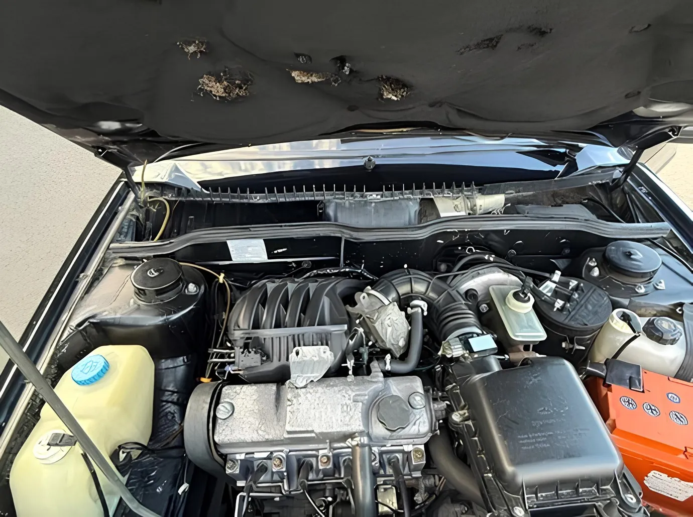 LADA (VAZ) 2115, 1.6 L, 2011 year, 204 550 km, Gazakh - Price: 7 800 ₼ - Tunel.az