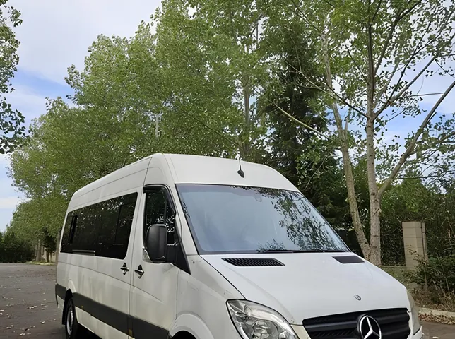 Mercedes Sprinter 315, 2.1 L, 2006 жазыңыз жыл, 456 325 km, Lankaran - Бағасы: 24 500 ₼ - Tunel.az