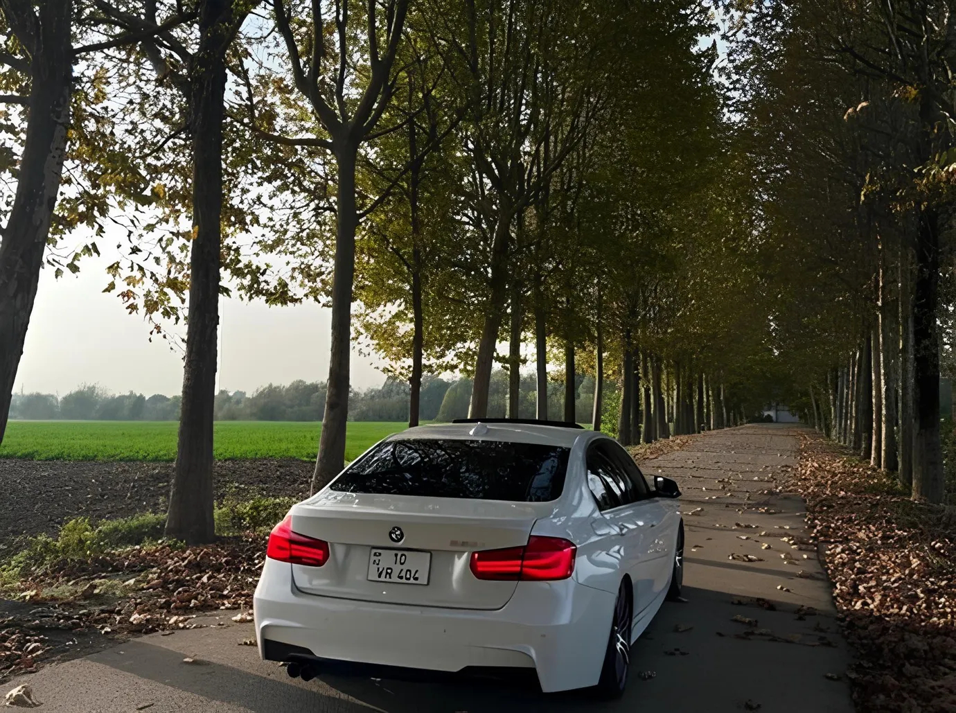 BMW 330, 2.0 L, 2018 year, 157 000 km, Masalli - Price: 29 700 ₼ - Tunel.az