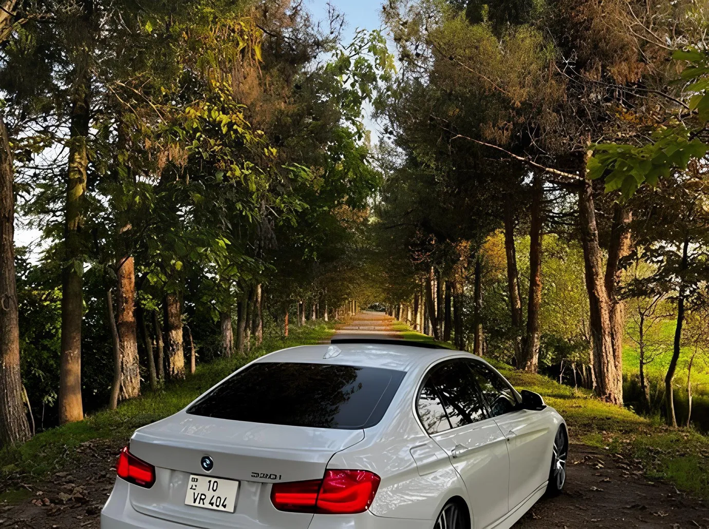 BMW 330, 2.0 L, 2018 year, 157 000 km, Masalli - Price: 29 700 ₼ - Tunel.az