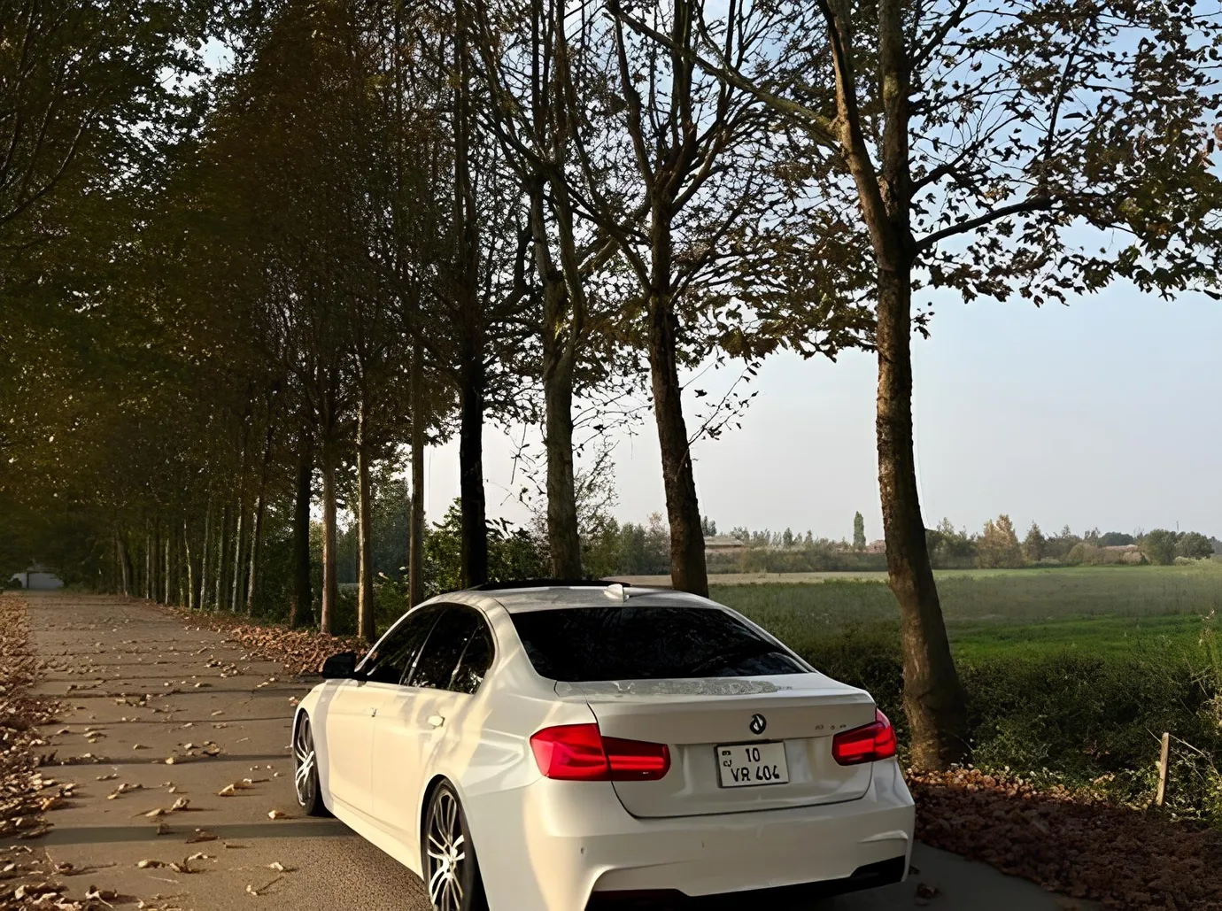 BMW 330, 2.0 L, 2018 year, 157 000 km, Masalli - Price: 29 700 ₼ - Tunel.az