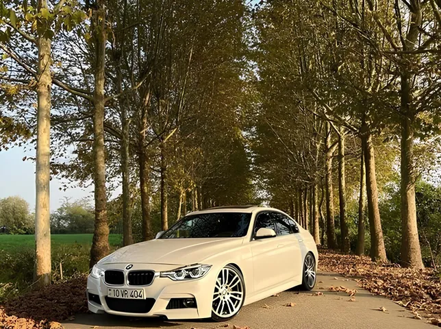 BMW 330, 2.0 L, 2018 year, 157 000 km, Masalli - Price: 29 700 ₼ - Tunel.az