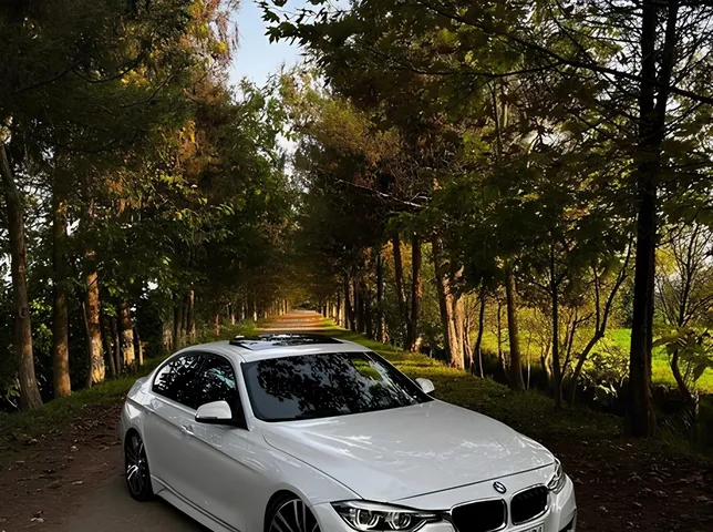 BMW 330, 2.0 L, 2018 year, 157 000 km, Masalli - Price: 29 700 ₼ - Tunel.az