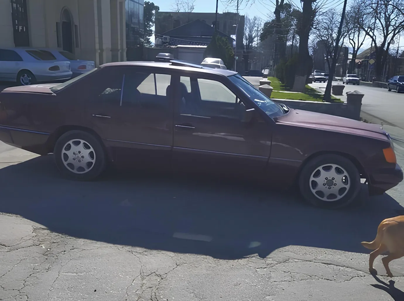 Mercedes 250 D, 2.5 L, 1991 год, 370 000 km, Шеки - Цена: 5 200 ₼ - Tunel.az