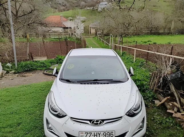 Hyundai Elantra, 1.8 L, 2015 year, 129 000 km, Baku - Price: 20 000 ₼ - Tunel.az