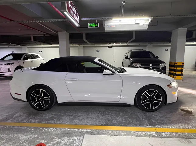 Ford Mustang, 2.3 L, 2018 ano, 95 000 km, Baku - Preço: 34 850 ₼ - Tunel.az